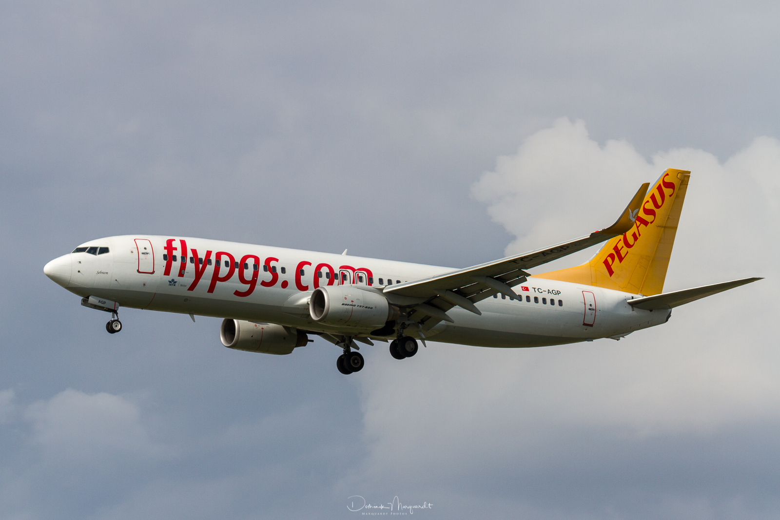 Pegasus Airlines / Boeing 737-82R / TC-AGP / FRA / EDDF